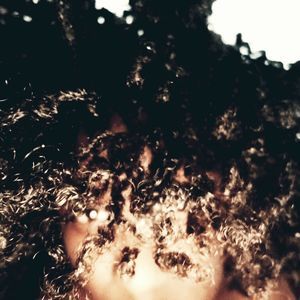 Meet your Posher, Porcha